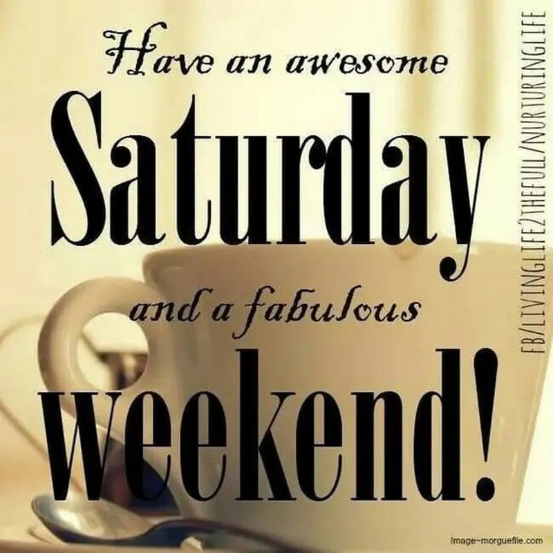 gave an awesome saturdat and a fabulous weekend.jpg