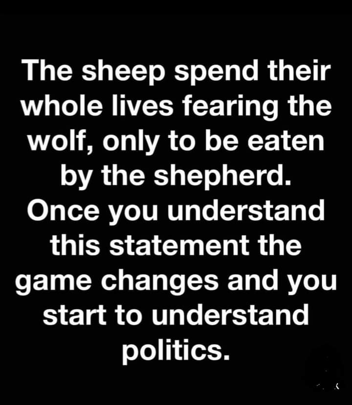 understanding politics.jpg