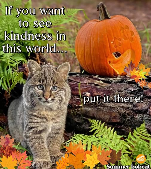 if you want to see kindness.jpg