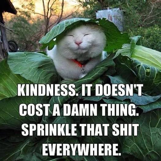 kindness.jpg