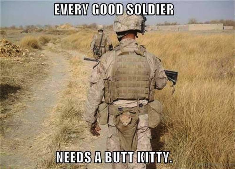 soldiers butt kitty.jpg