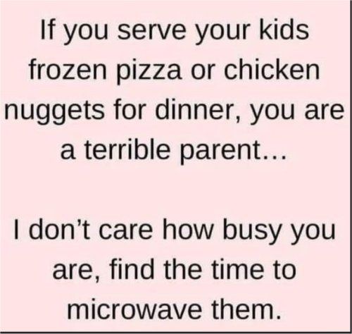 if you give your children frozen pizza or chicken nuggets for supper you are a terrible parent.jpg