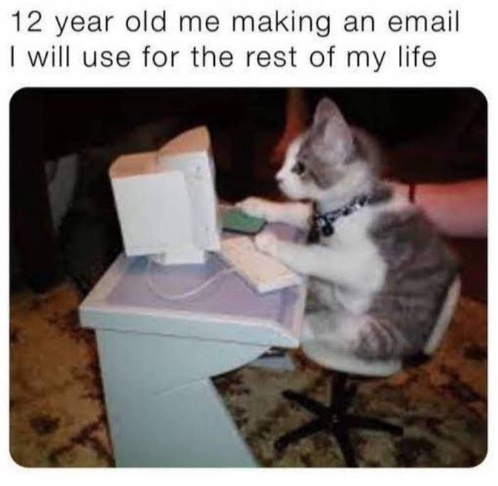cat at computer.jpg