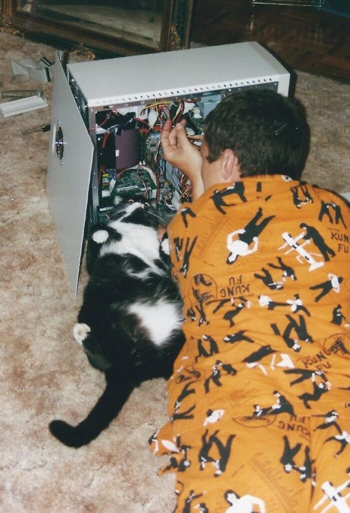 cat helping with computer.jpg