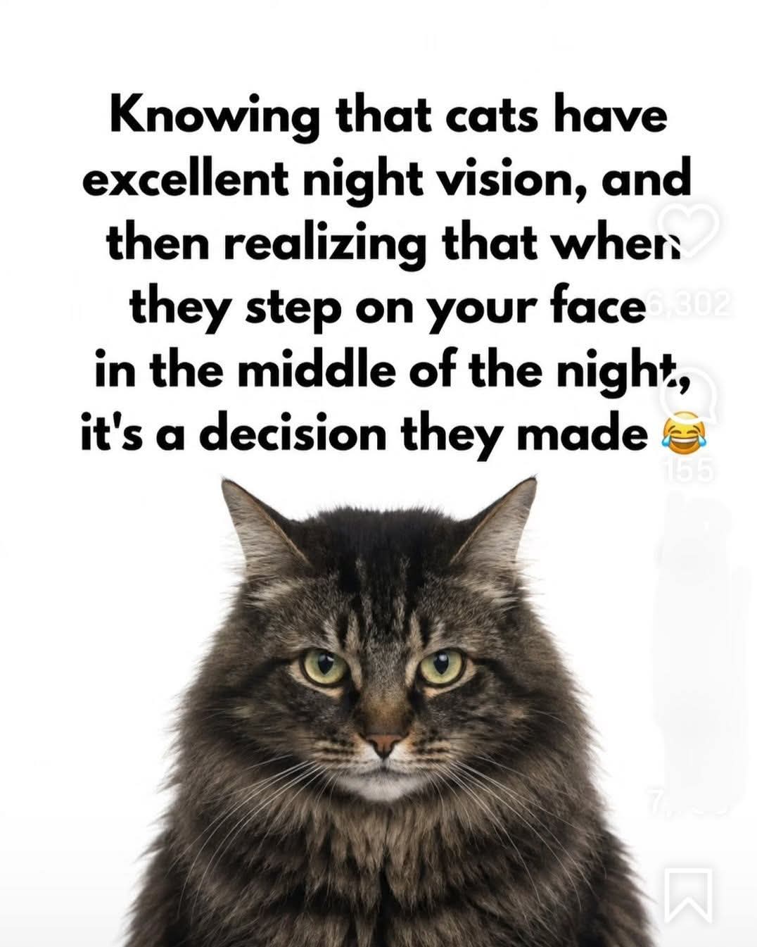 FB_IMG_1790779536110.jpg