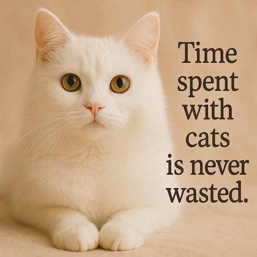 the time is never wasted.jpg