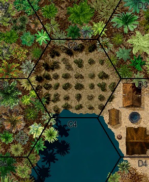 Desert Vineyard.jpg