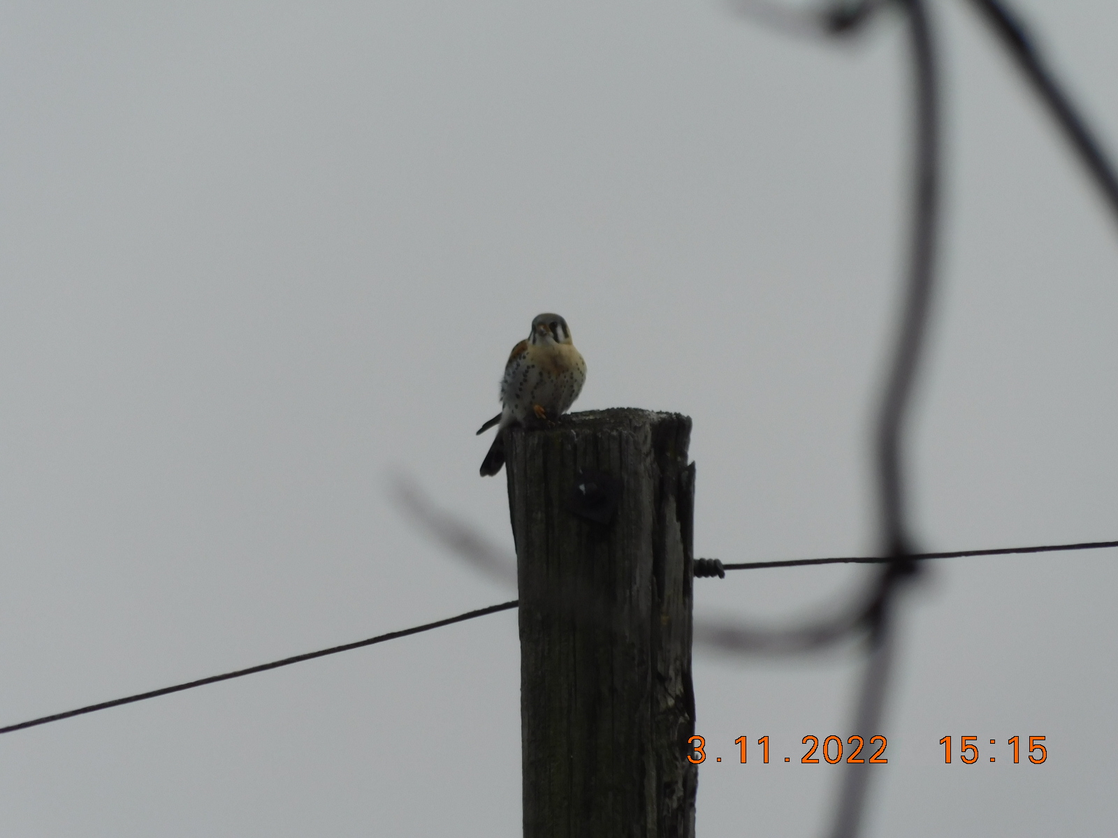 DSCN2590.JPG