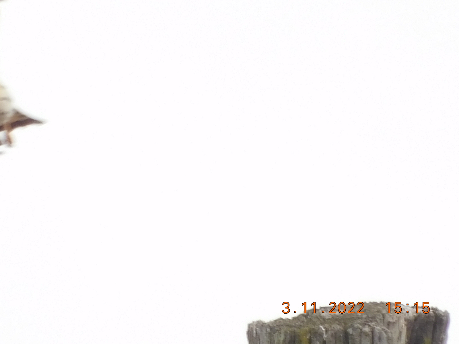 DSCN2592.JPG