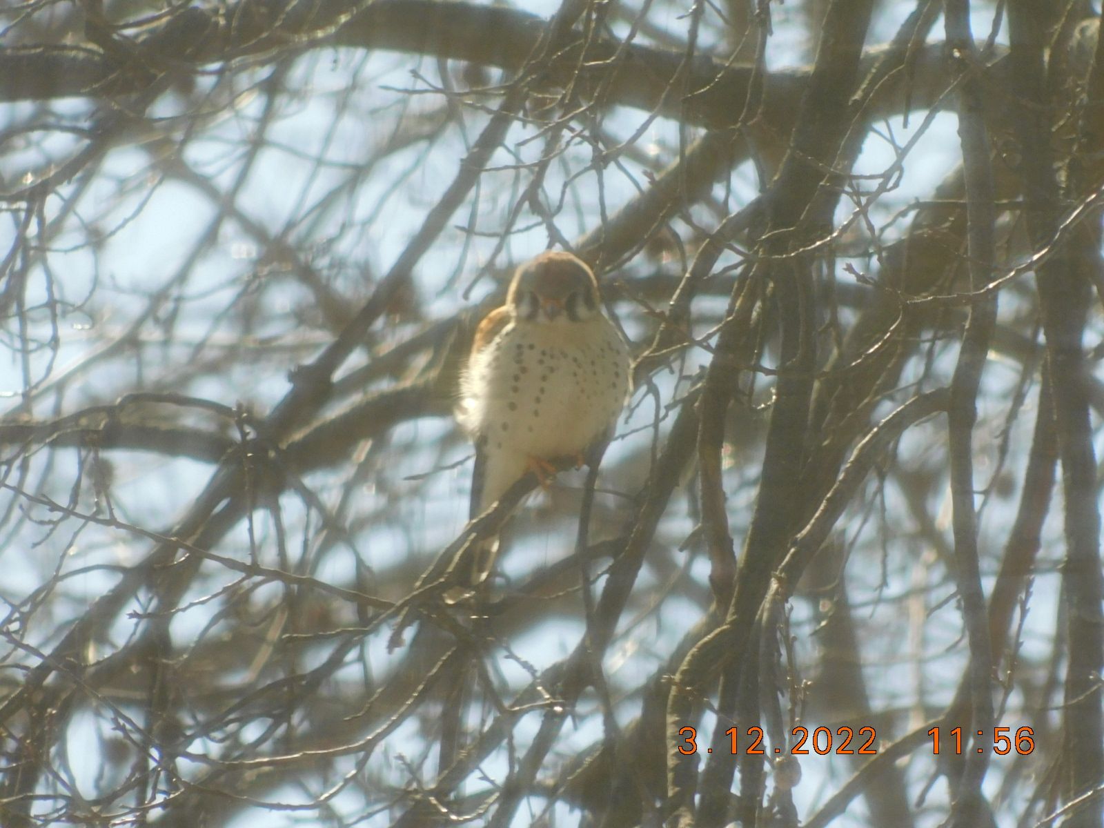 DSCN2684.jpg