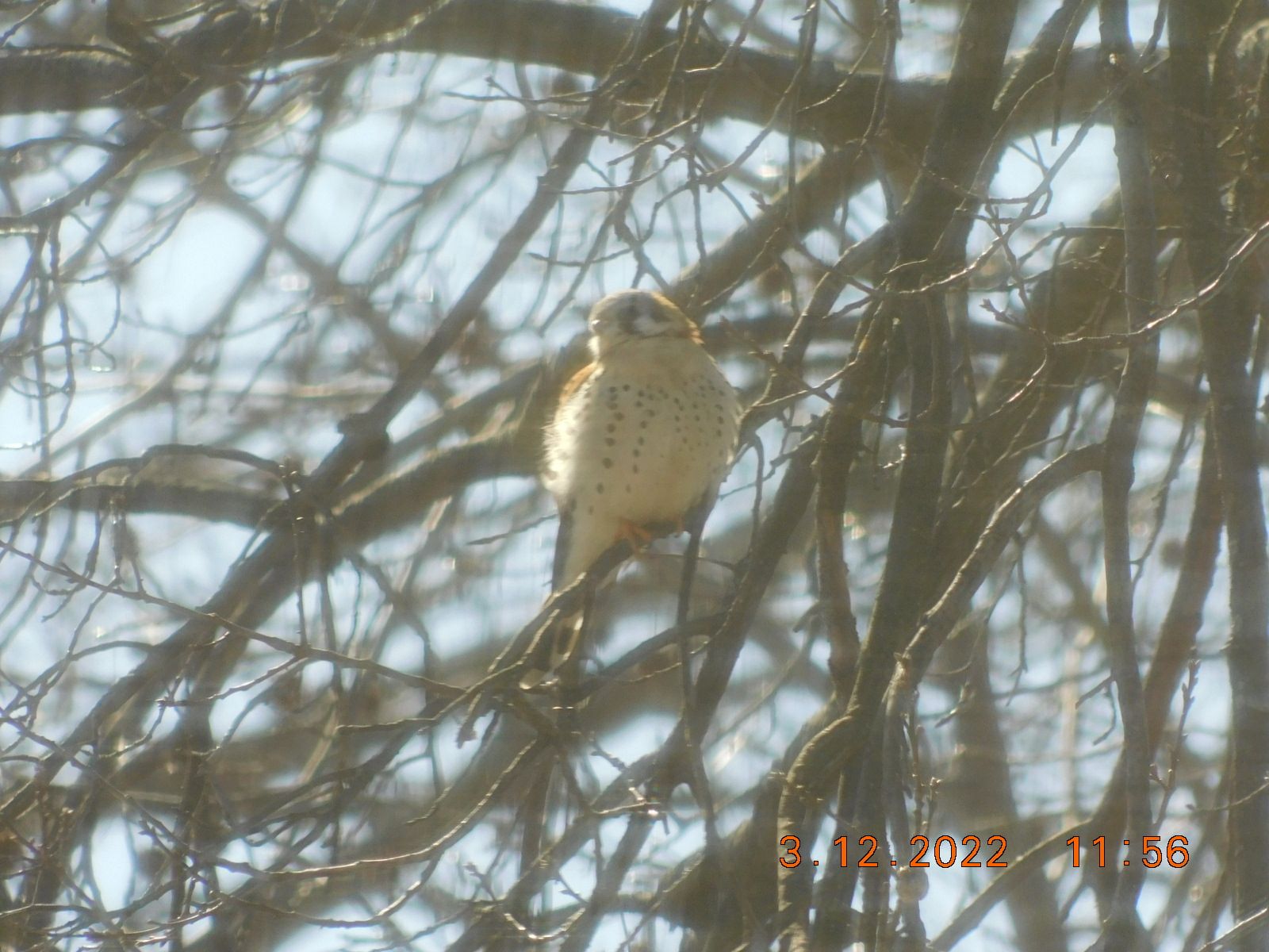 DSCN2685.jpg