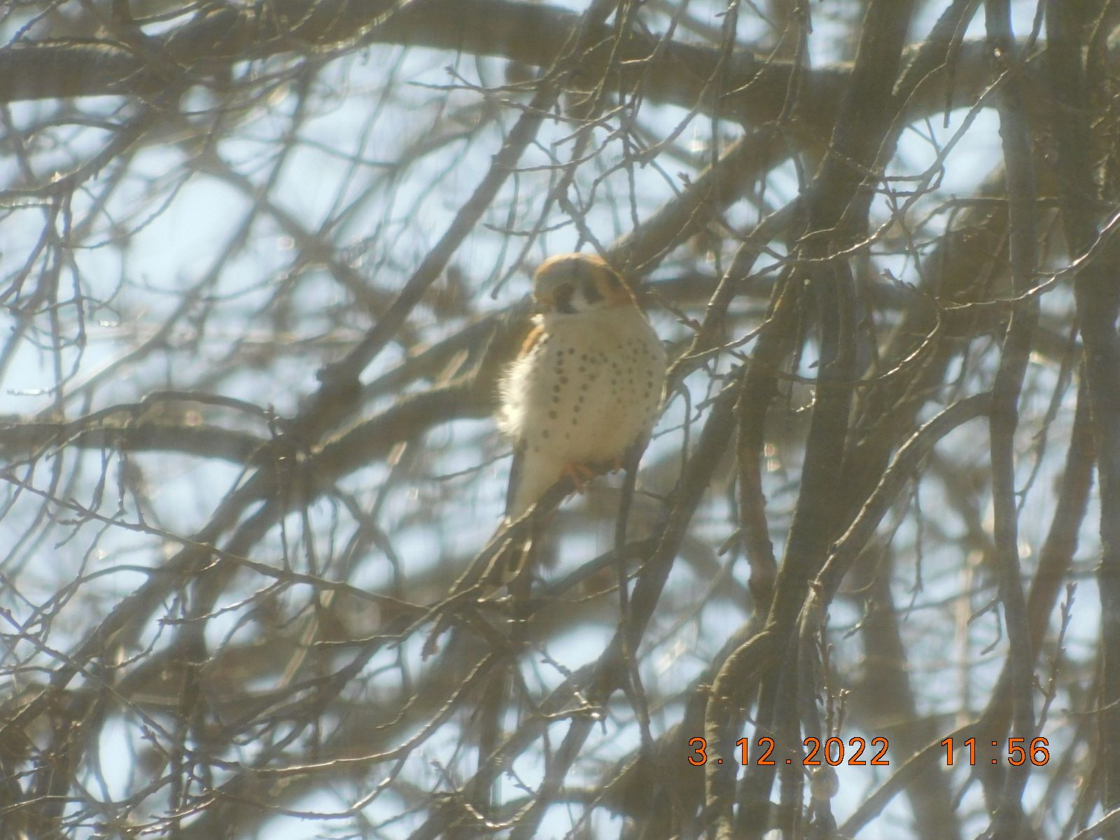 DSCN2693.jpg