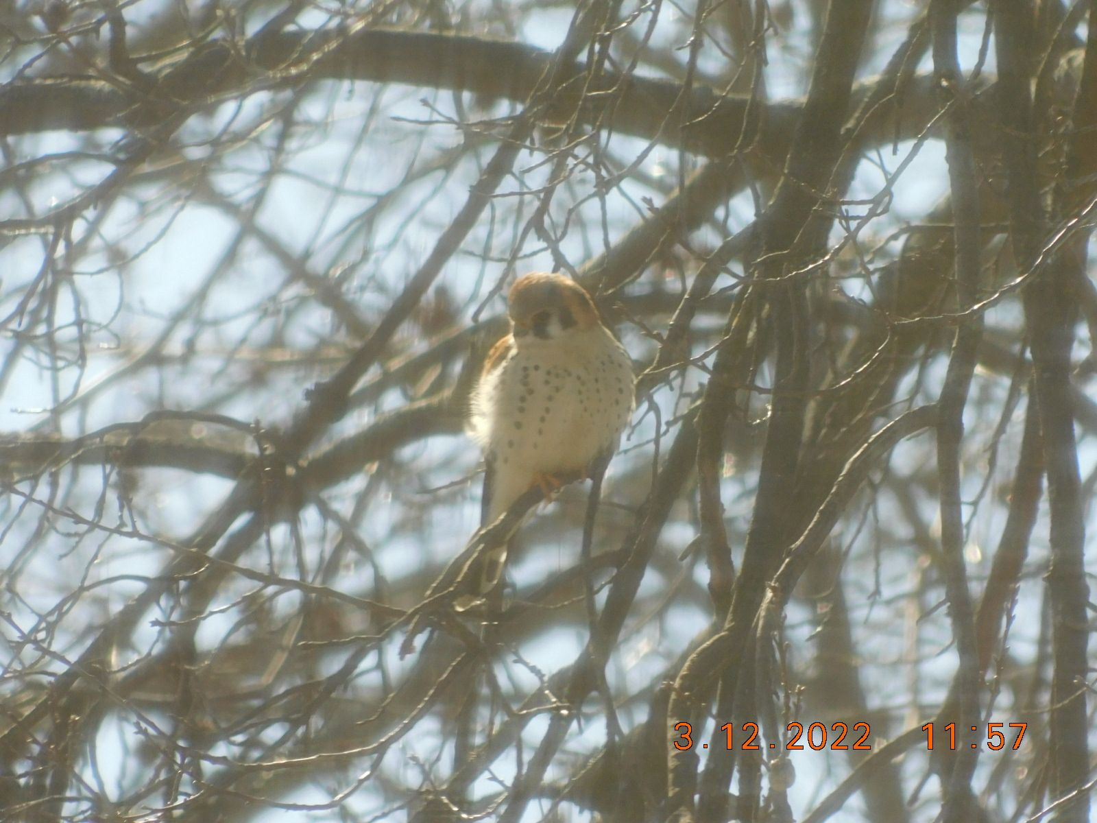 DSCN2707.jpg