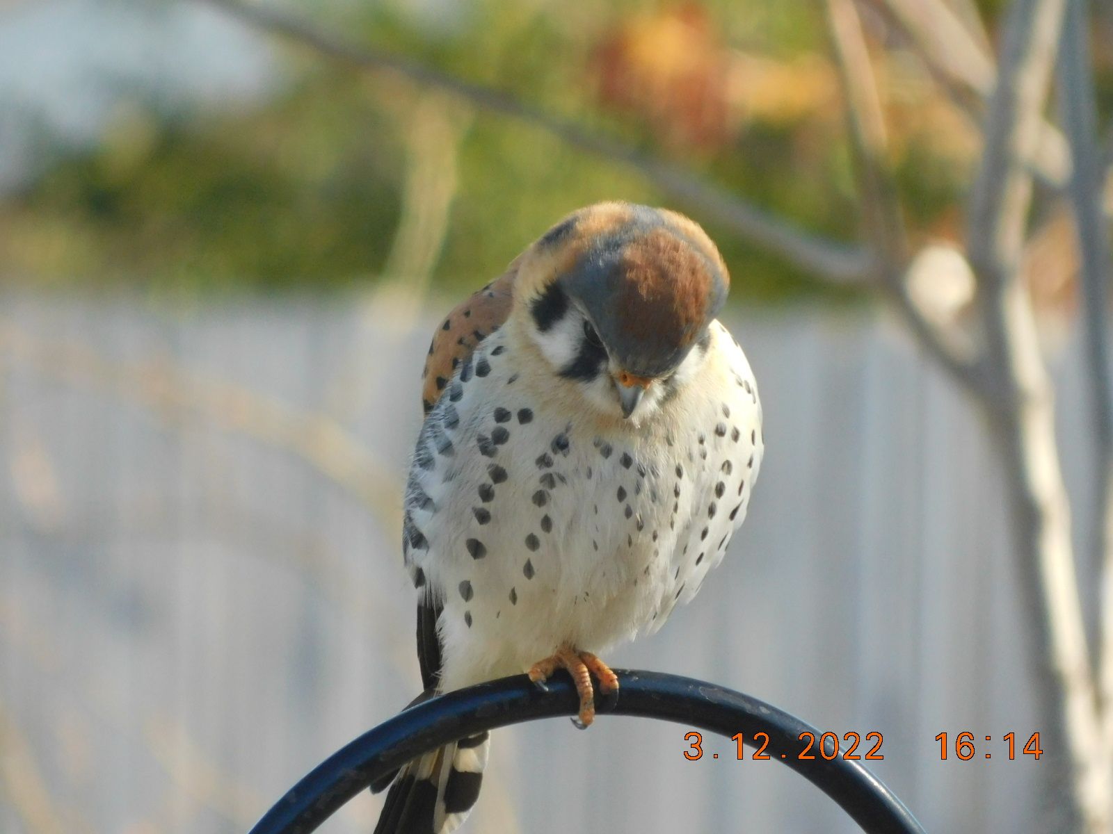 DSCN2720.jpg