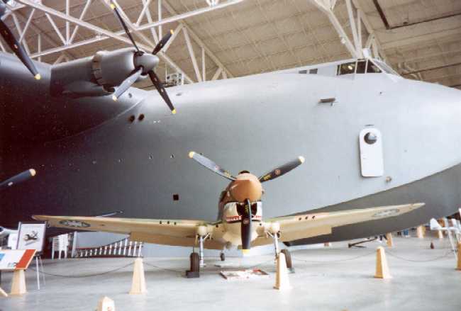 p40 goose.jpg