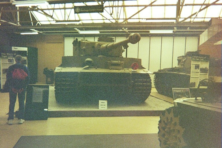 tiger.jpg