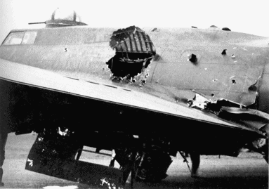 side5.gif