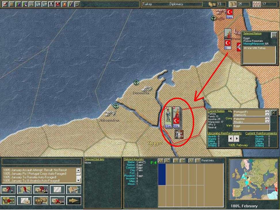 turkey lay..on cairo.jpg