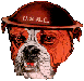 th_OldDevilDog2.gif