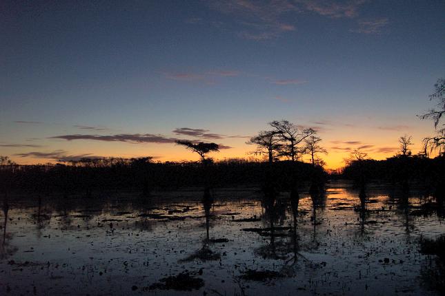 Old Folks Sunrise 2.jpg