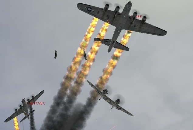 z2.jpg