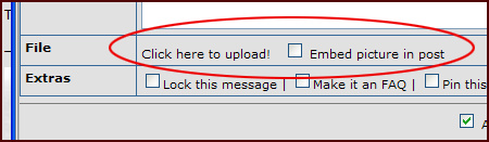 InsertImageForums.jpg