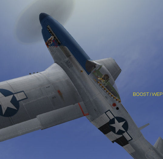 511.jpg