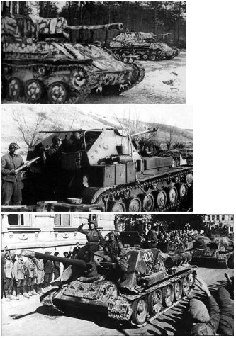sucollage.jpg