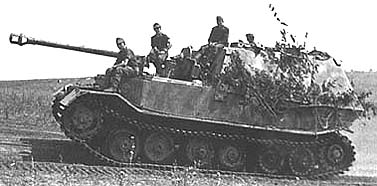 Elefant_4.jpg