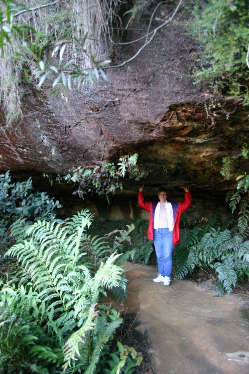 IMG_0315.jpg