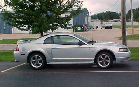 CopyofMYMUSTANG.jpg
