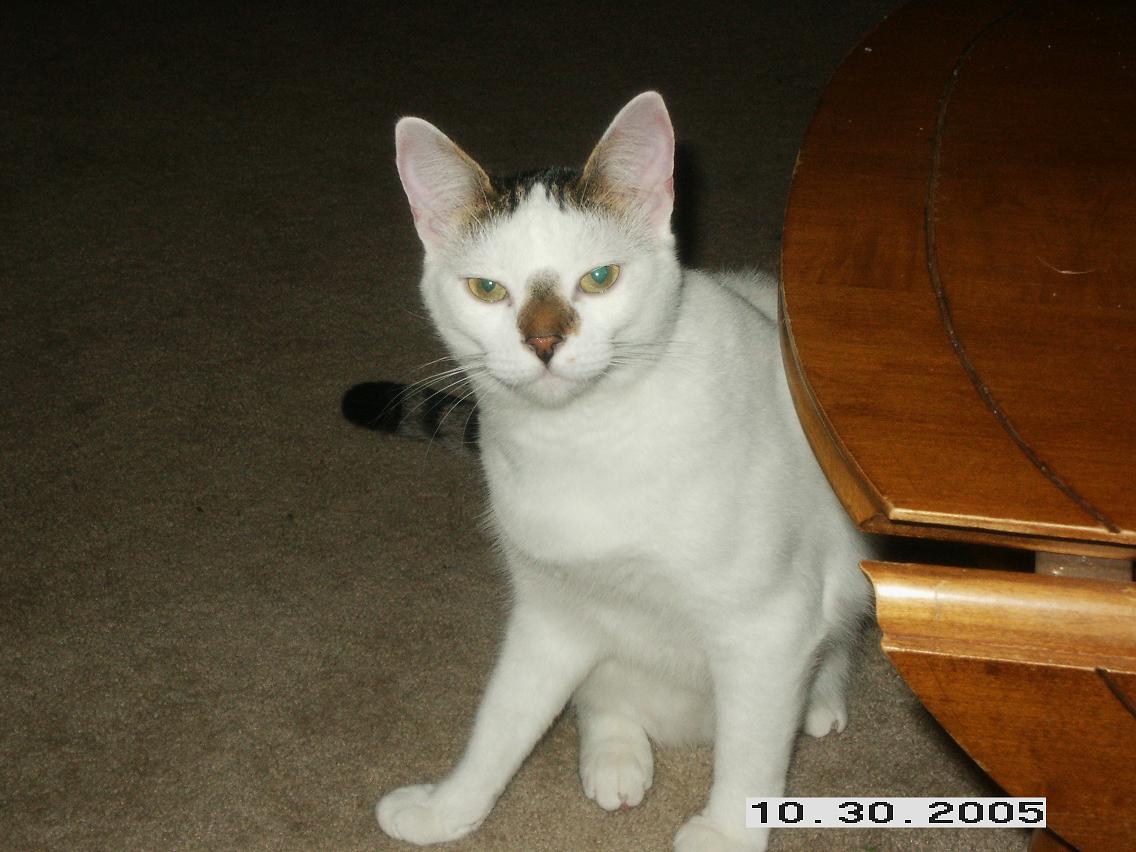 Picture041.jpg