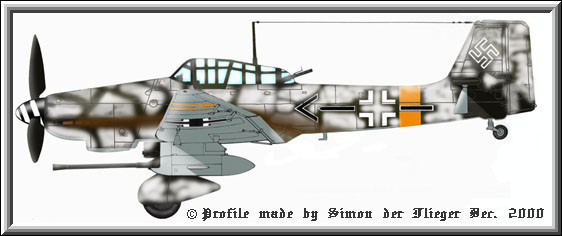 ju87_profil_winter.jpg