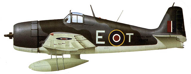 hellcat_ET_profile.jpg