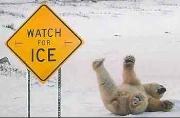 BearIce.jpg
