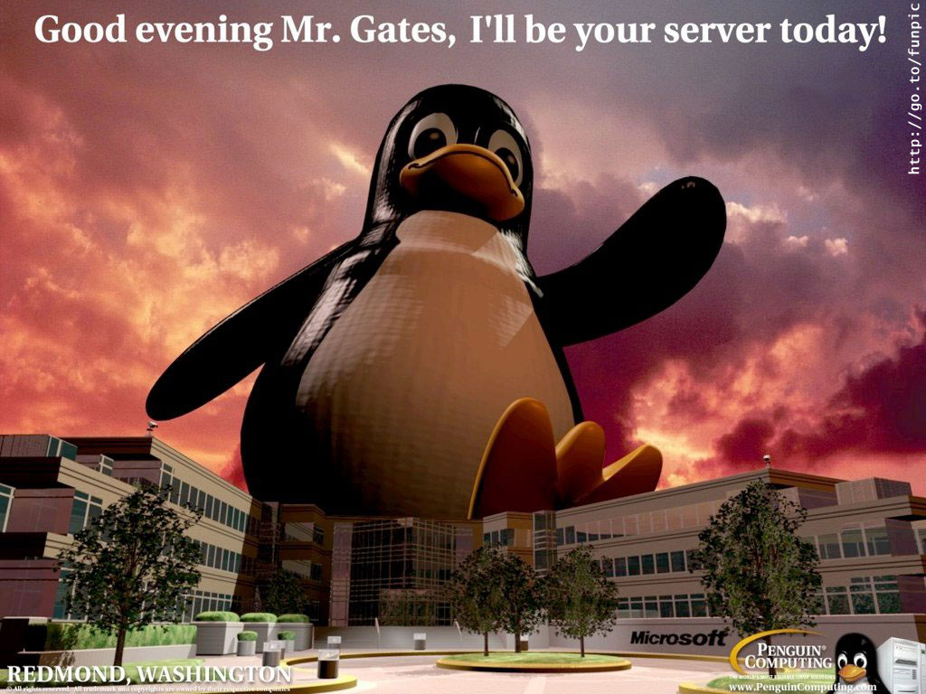 PenguinServer.jpg