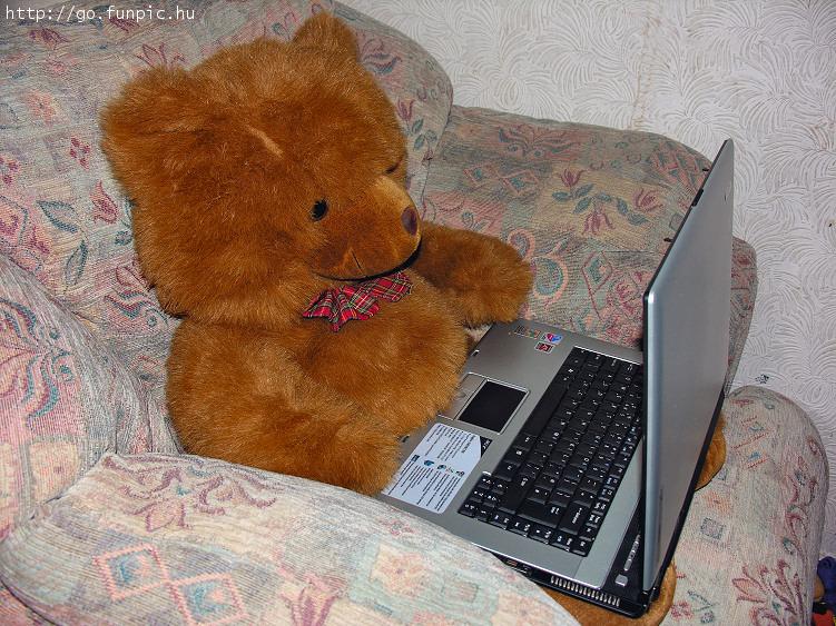 TeddyatComputer.jpg