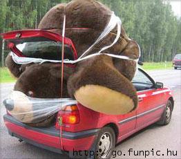 GiantTeddyBear.jpg