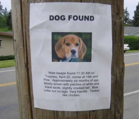 lostdogfound.jpg
