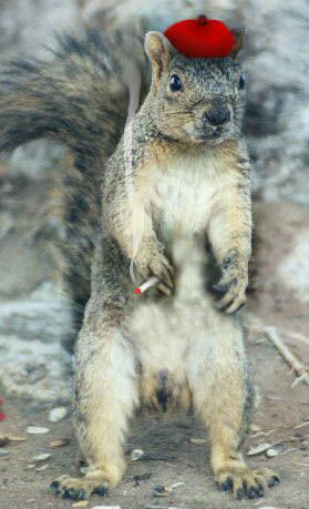 squirrelpartisan.jpg