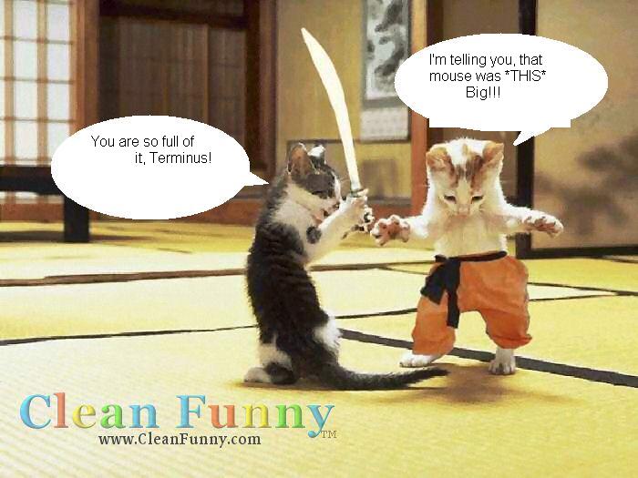 animal-sat..l-arts 1.jpg