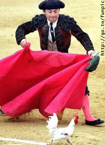 ChickenMatador.jpg