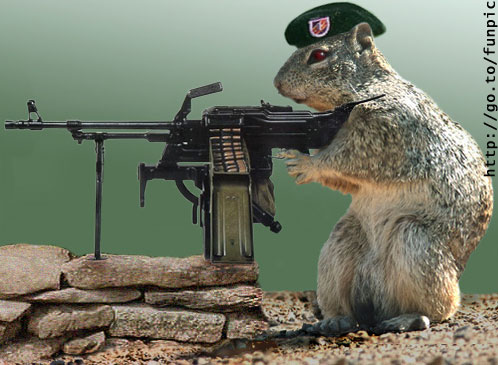 SquirrelcommandoMG.jpg