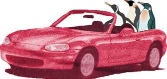 penguinsincar.jpg