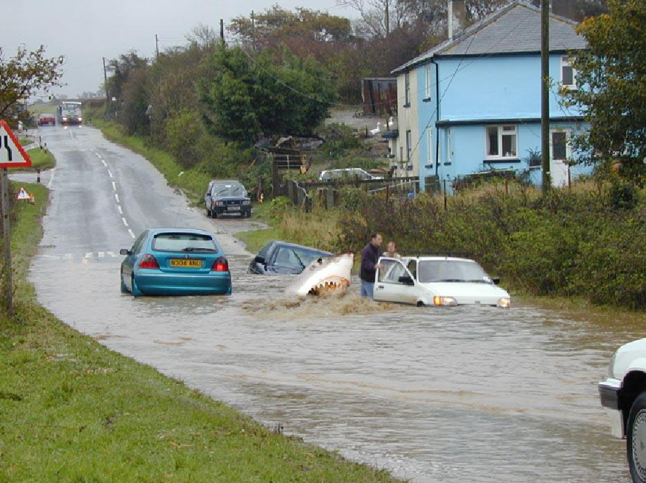 floodshark.jpg
