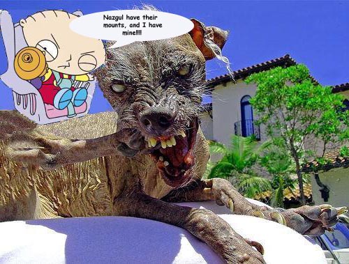 stewie4.jpg