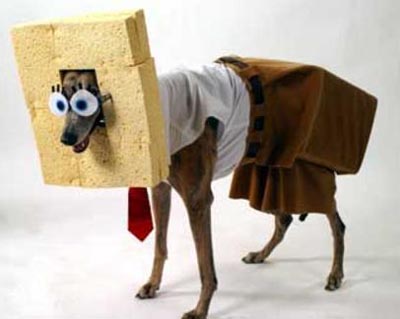 spongedog.jpg