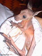 Nakedbaby..reykanga.jpg
