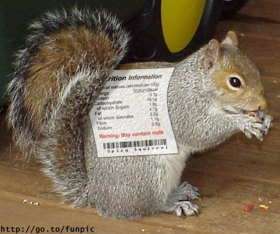 Squirrelnutrition.jpg
