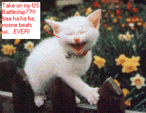 kitty.gif